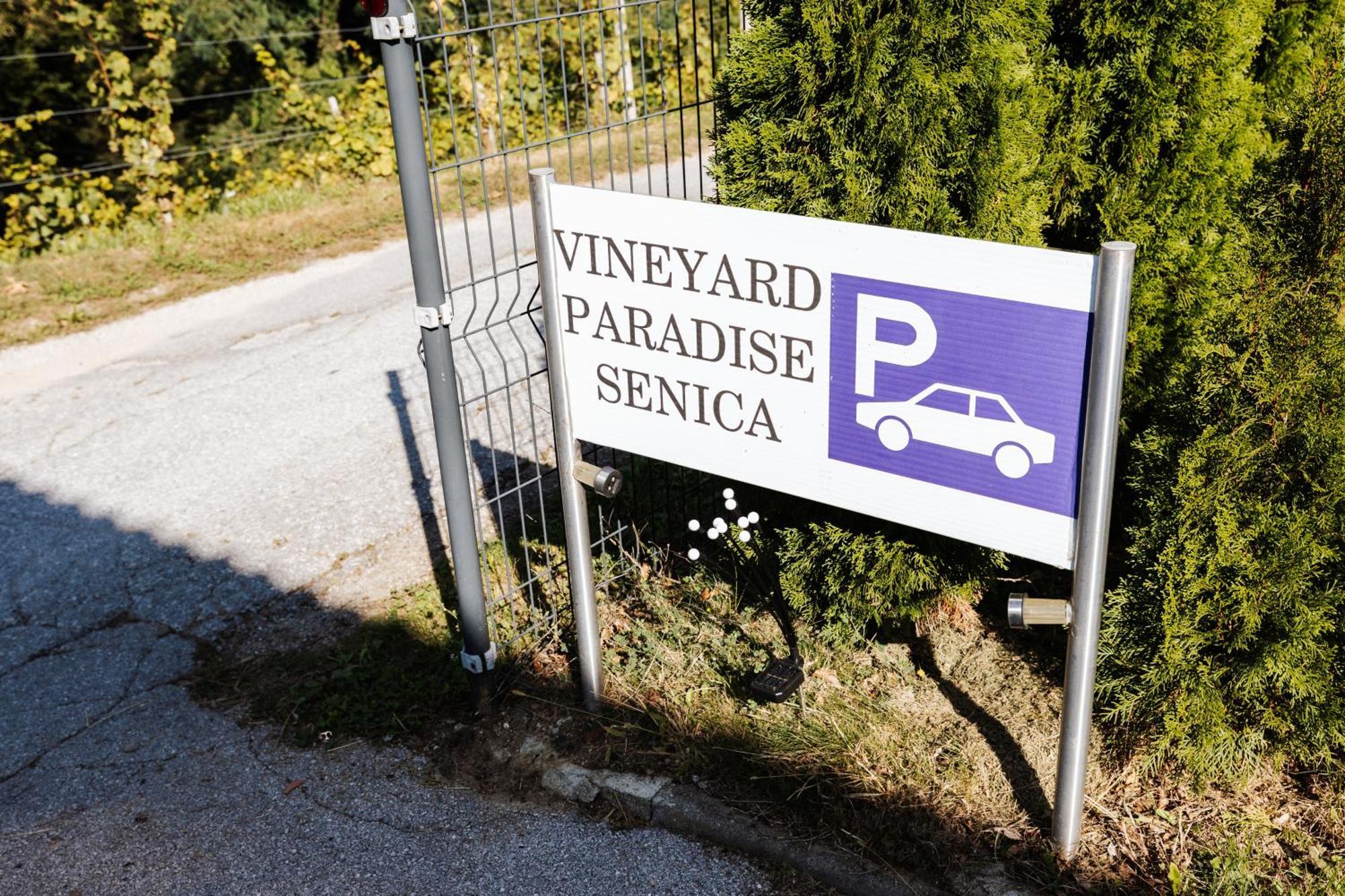 Vineyard Paradise Senica Dramlje Buitenkant foto