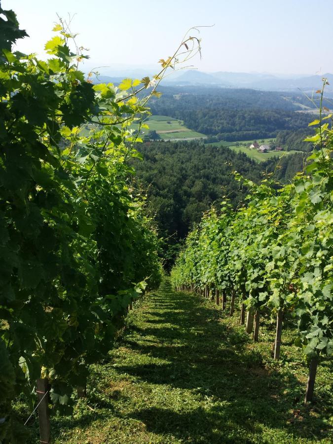 Vineyard Paradise Senica Dramlje Buitenkant foto